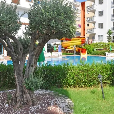 Holiday In Centerplatinum 38